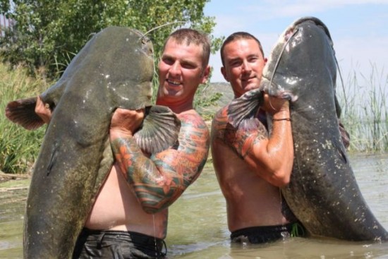 Worlds largest fishes found in river  Worlds largest fishes  Biggest fishes in the world
