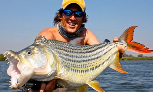 Worlds largest fishes found in river  Worlds largest fishes  Biggest fishes in the world