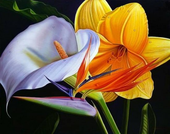 Spectacular Photorealistic Paintings