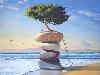 Oil Paintings By Paul David Bond