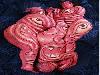 Awesome Body Painting Body painting pictures