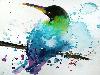 Splashed Watercolor Paintings
