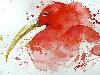 Splashed Watercolor Paintings
