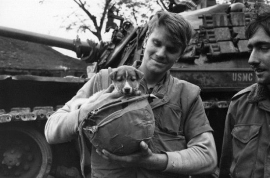 Photographs Of Soldiers And Their Pets That Will Make Your Heart Melt