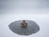 Imaginative Conceptual Photography  Photos