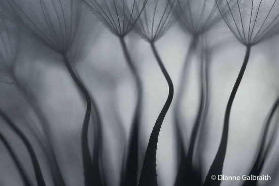 The Spectacular Winners Of The Nature Photographer Of The Year