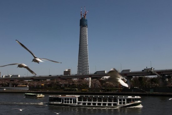 World's Tallest Tower Now Open