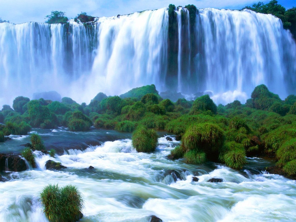 Wall Papers