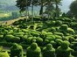 10 Most Amazing Places On Earth, Must See Once in Life