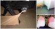 10 People Just Having The Worst Day