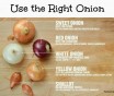 Various Types Of Onions