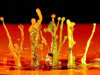 Art of Drops