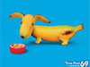 Funny Food Art