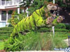 Collection Of Creative Gardens