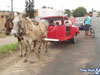Horse Car