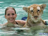 Swimming with Tigers