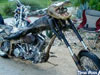 Crocodile Bike Unbelievable Idea