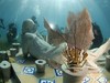 World Largest Underwater Museum Mexico
