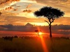 Amazing Photos of Kenya