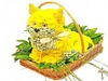Dolls and Toys Made from Flowers