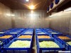 World Largest Kitchen Bangalore