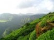 8 best hill stations near Mumbai perfect for a monsoon getaway
