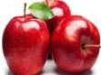Foods for Fit and Fab Health
