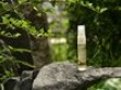 Natural Oils For Your Hair