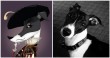 This Artist Perfectly Illustrates Pets Based On Their Personalities