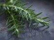 Top 10 Natural Treatments For Hair loss