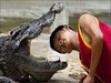 Worlds most dangerous animals  Most dangerous animal attacks Worlds most dangerous places   